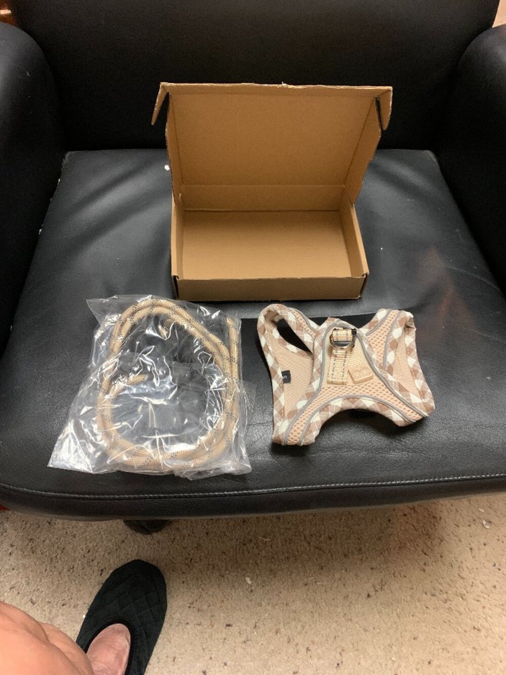 HAAPAW LEASE & HARNESS  SIZE S  NWOT